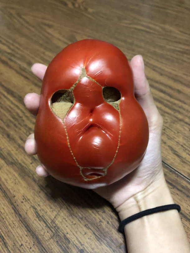 I think my tomato plant is trying to tell me something