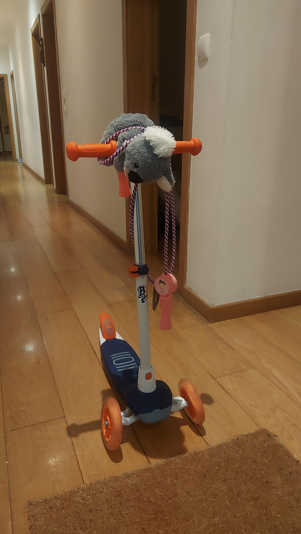 I think my  yo niece is prepping for Madmax times