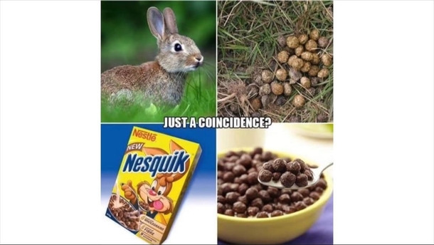 I THINK NOT