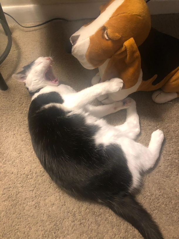 I think she likes it