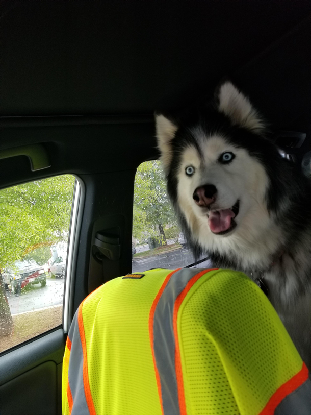 I think she recognized the vets office