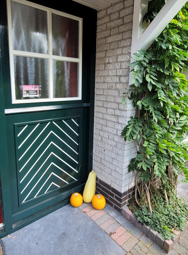I think some kids rearranged this  year old mans Cucurbitaceaes on his front porch 