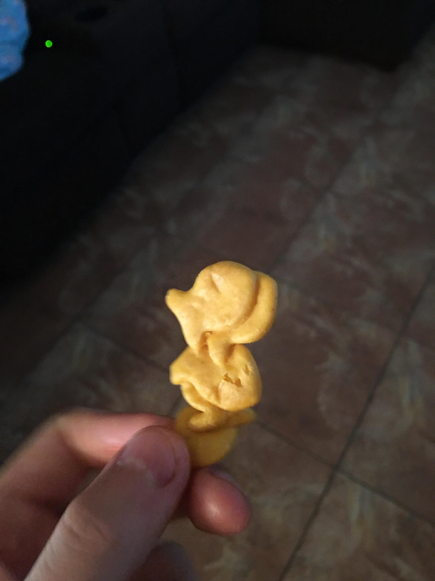 I think something is wrong with my goldfish