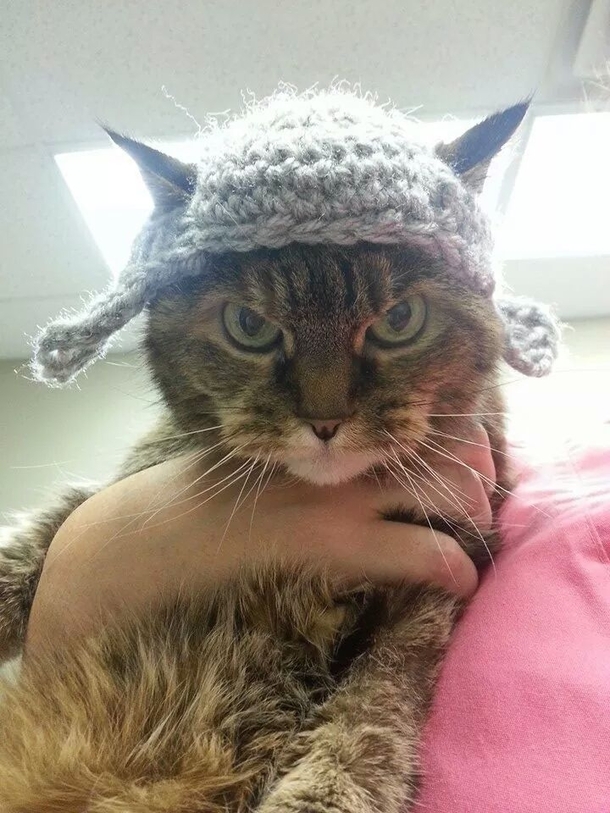 I think the new hat is a hit