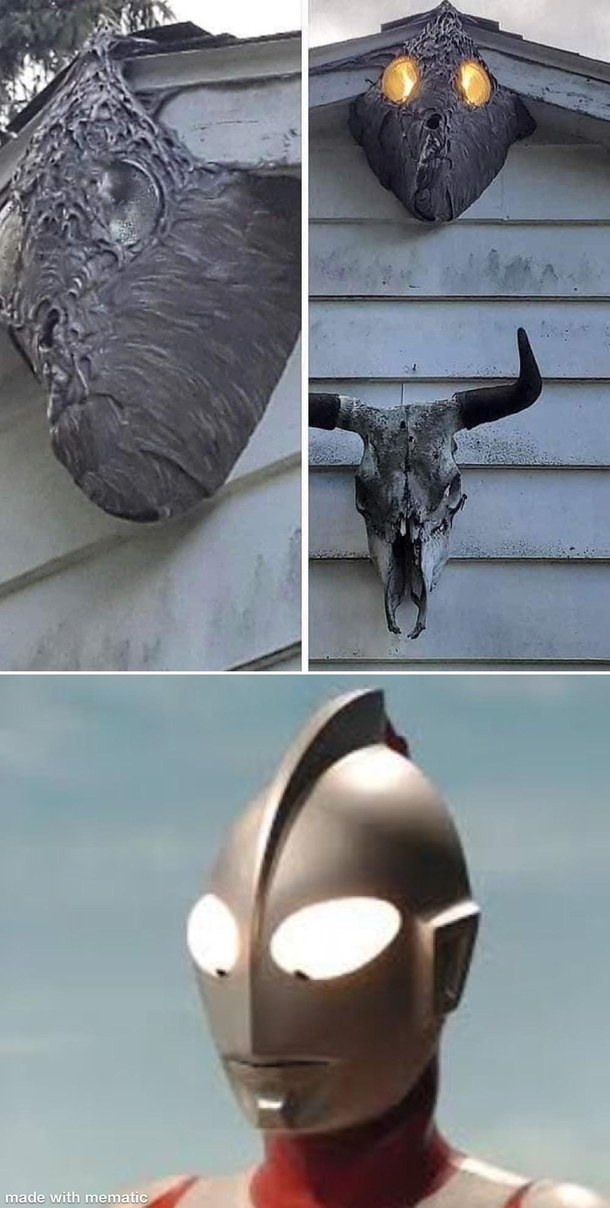 I think these hornets are trying to build Ultraman