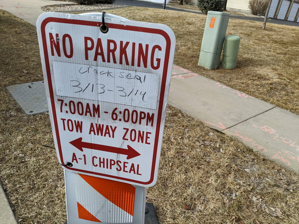 I think they filmed a sequel to Cocaine Bear on my street last week