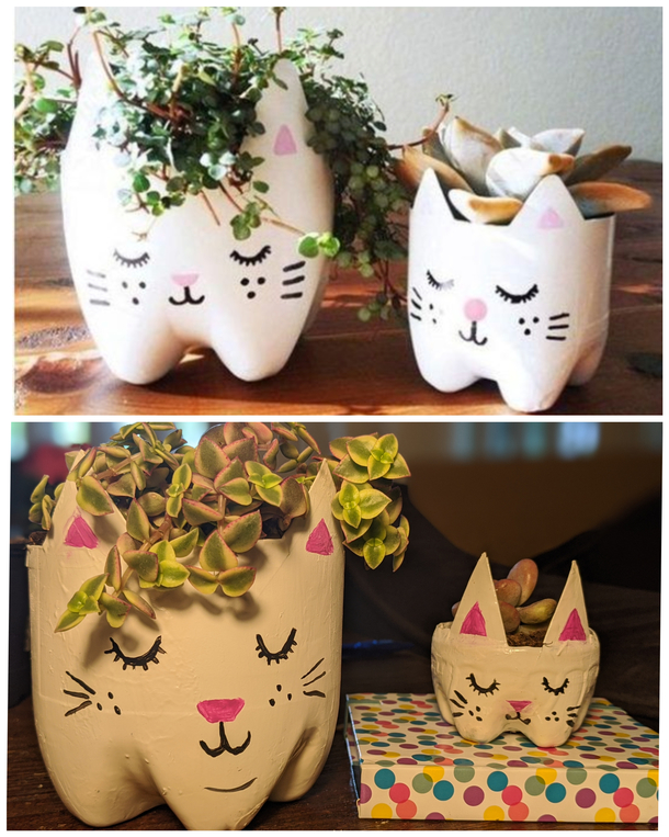 I think they turned out well
