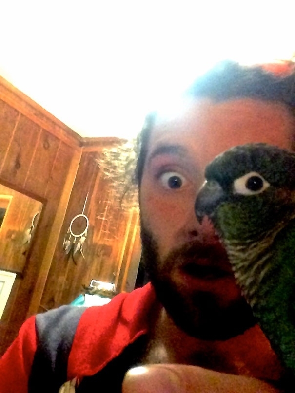 I think this picture was taken at the best moment possible