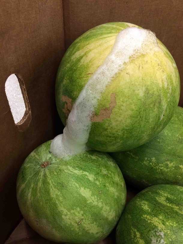 I think this watermelon had a seizure