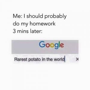 I think we all can relate