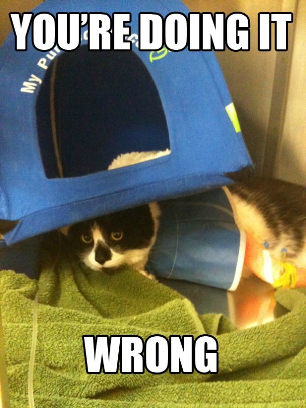 I think you may be doing that wrong