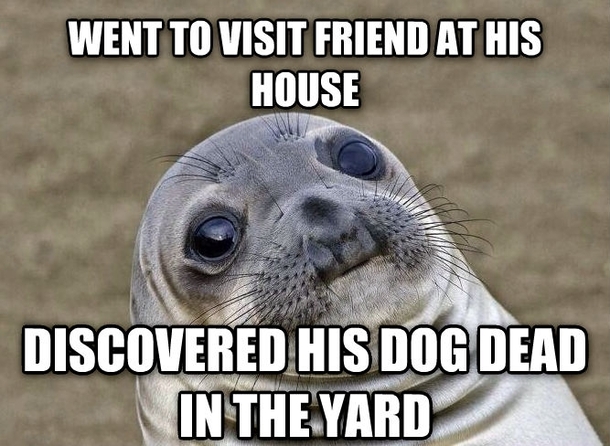 I thought it had finally accepted me enough to stop barking whenever I came over