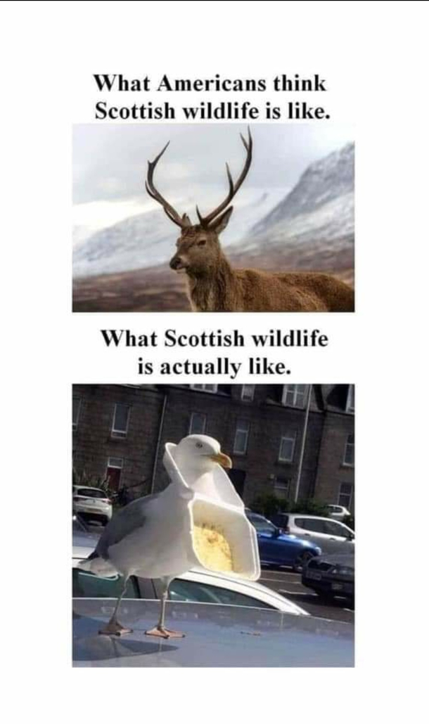I thought this would fit well cause its true