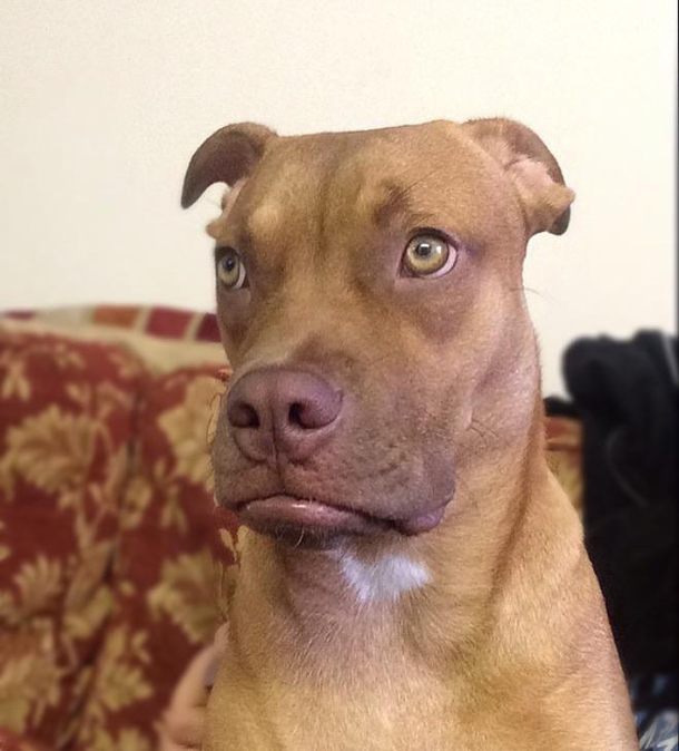 I told her there was no more cheese