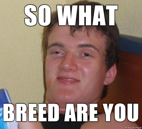 I told him I was asian he wanted to know which nationality