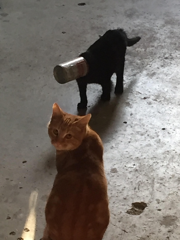 I told him not to do it
