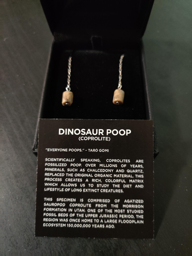 I told my husband I just wanted some shitty earrings for Christmas He delivered