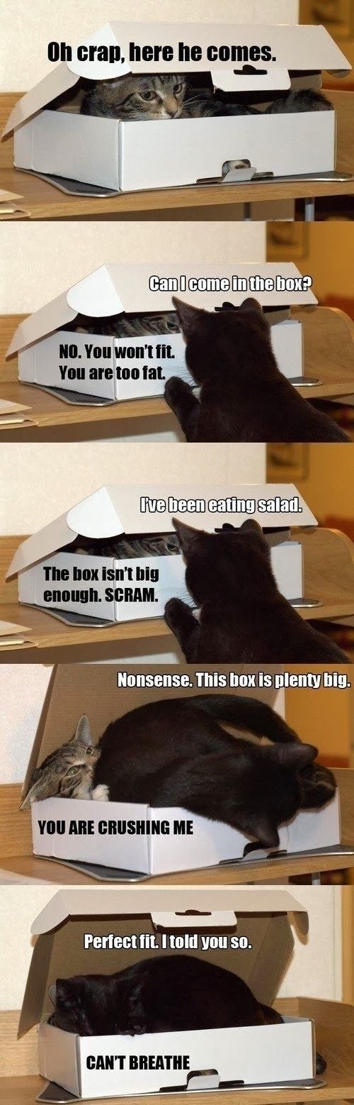 I told you so