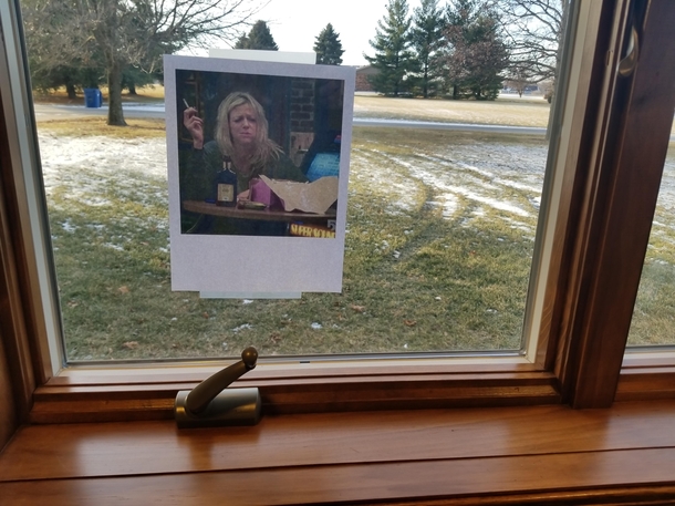 I too have a bird that visits my window at work