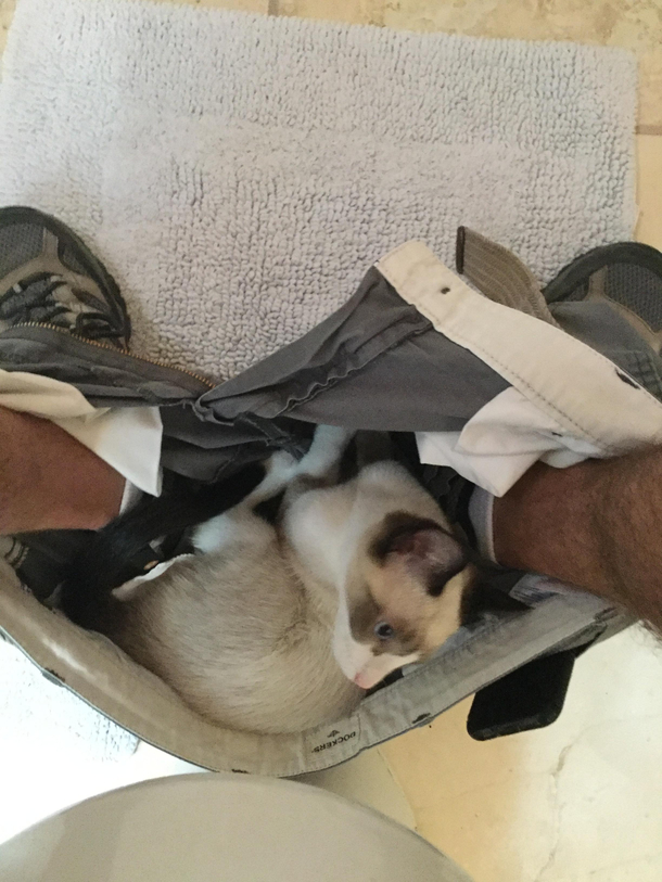 I too have toilet visitors