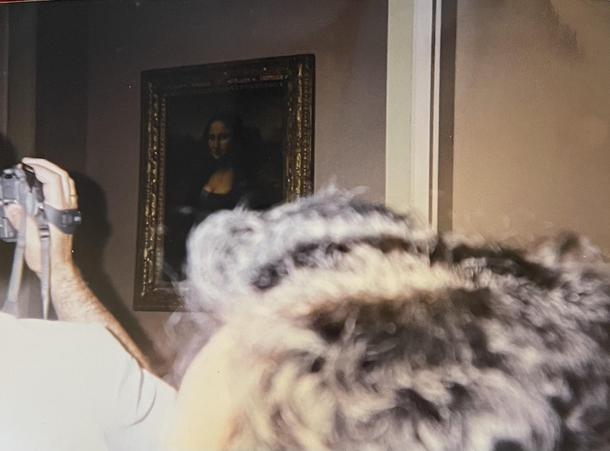 I took a trip to Paris in the s and this is the only pic I took of the Mona Lisa