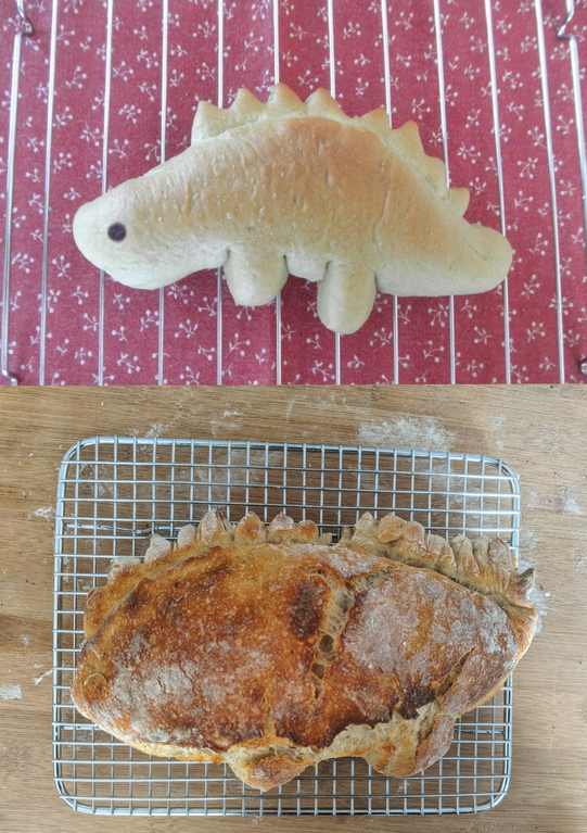 I tried to make a stegosaurus sourdough