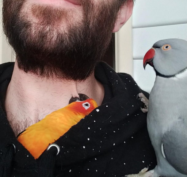 I tried to take a cute selfie with the birbs but all I got was chomped