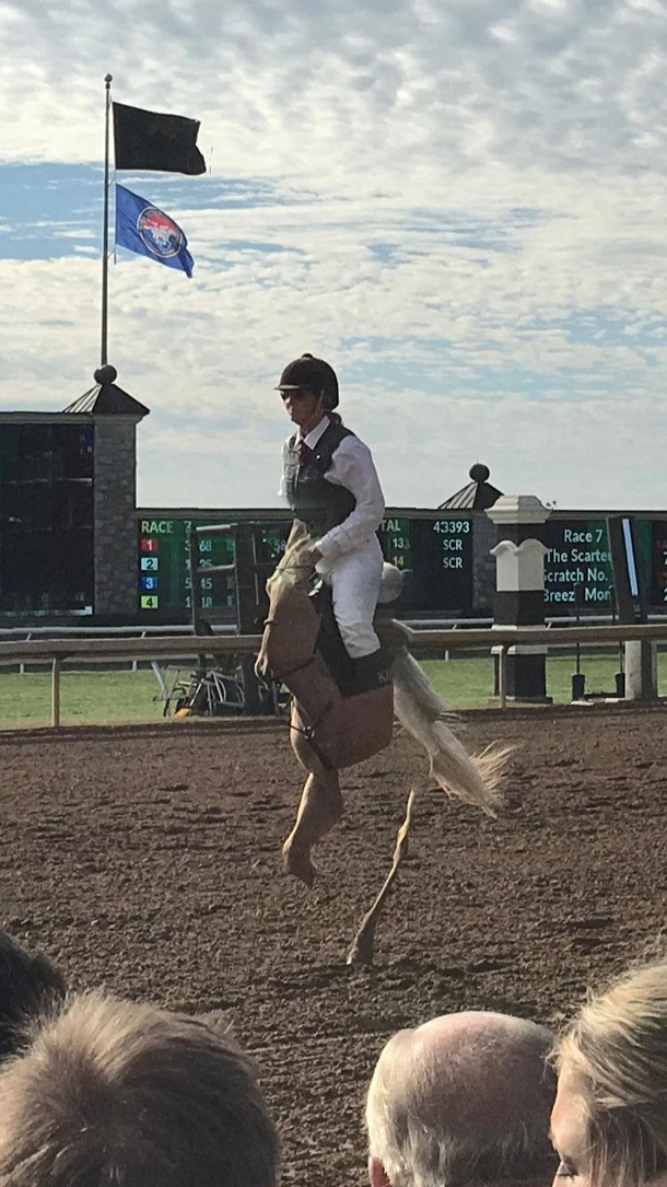 I tried to take a panorama at a horse race and it created the horse equivalent of a unicycle