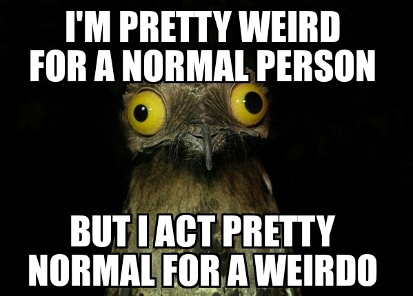 I try to let people I meet know Im weird as soon into the conversation
