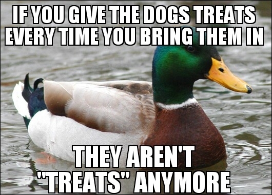 I try to tell my wife