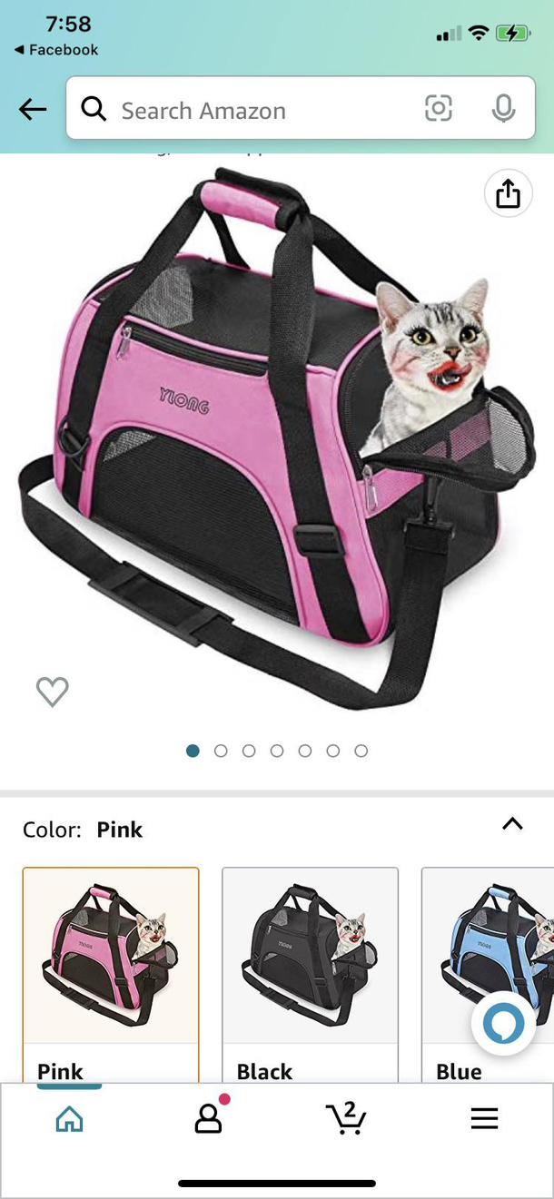 I uh hmm The cat looks like he got into Homers makeup gun