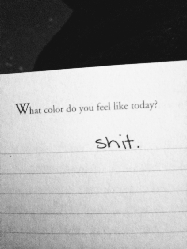 I use a writing prompt book as a journal sometimes