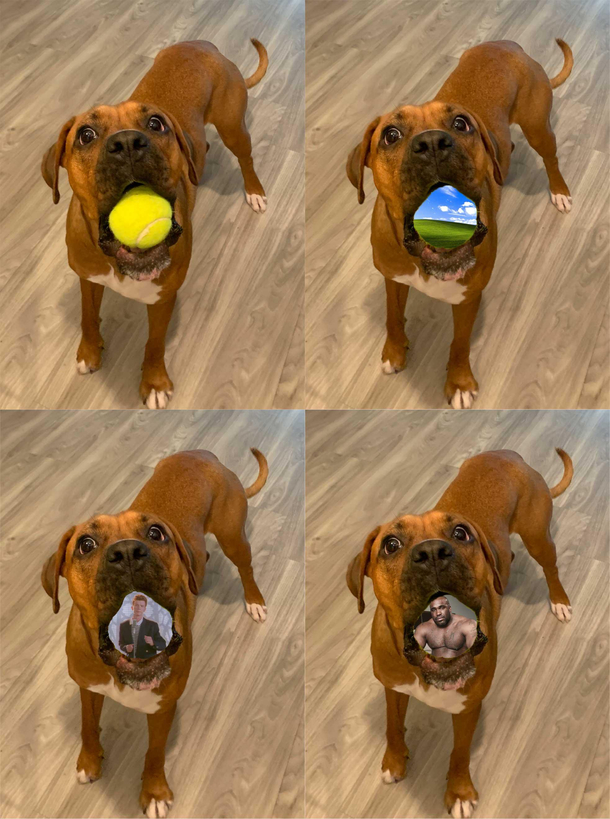 I used my dogs tennis ball as a green screen