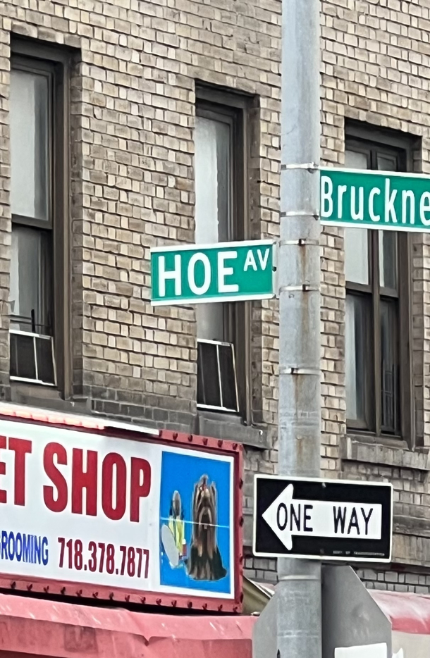 I visited everyones mom a couple nights ago