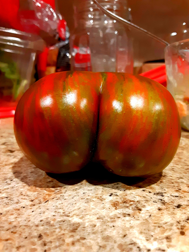 I wanna lick lick lick lick you from your head tomatoes