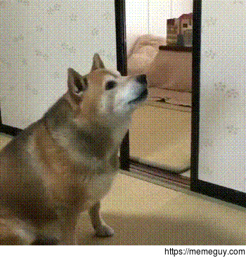 I want my food now