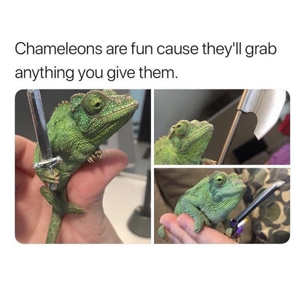 I want one