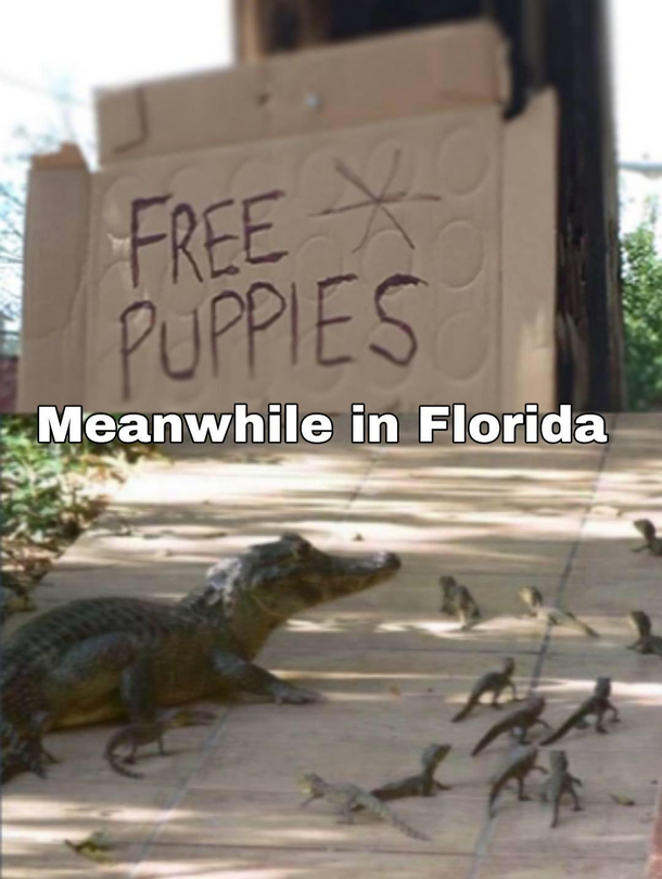 I want one