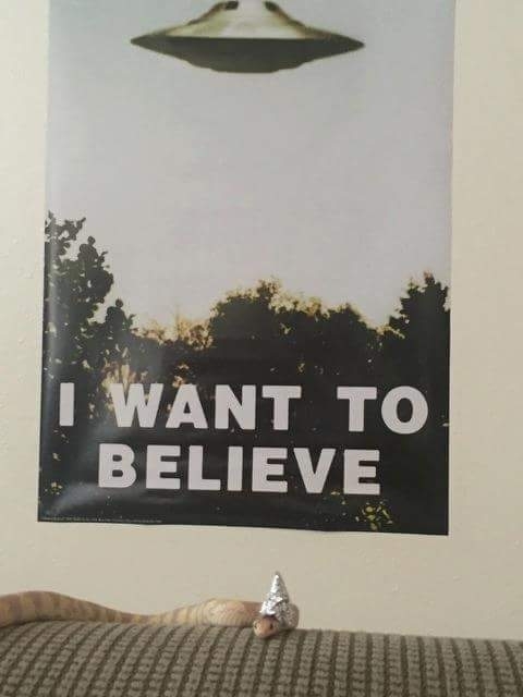 I want to believe - Meme Guy