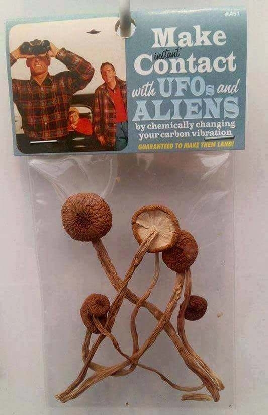 I Want To Believe
