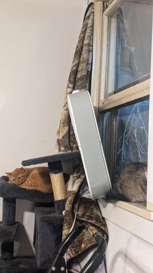 I wanted to air out my room not my cats fur
