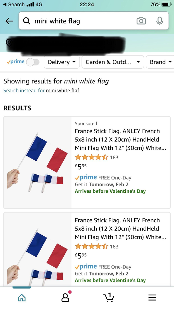I wanted to buy small white flags to draw GME on and stick on my motobike  Amazon result though - Meme Guy