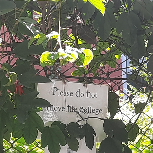 I was about to move the college until I saw this 