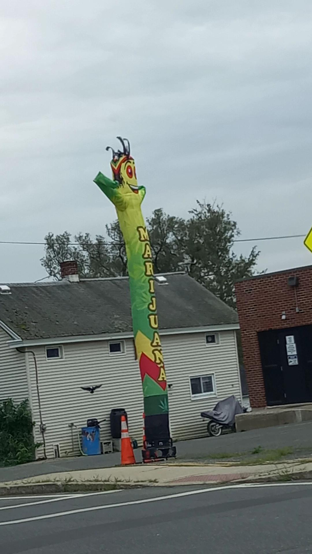 I was driving and saw this