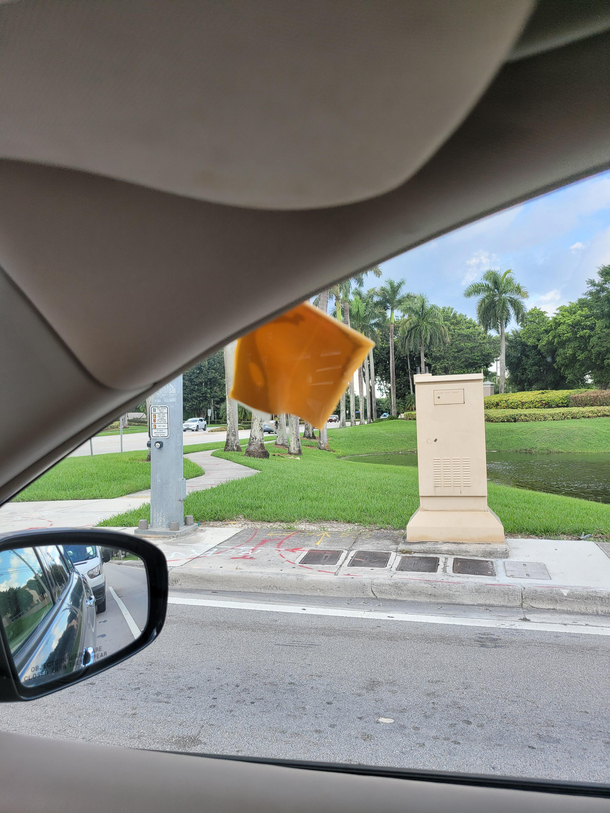 I was driving in Miami and a random guy threw me a slice of cheese