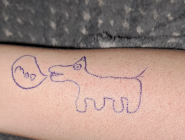 I was feeling down so my partner offered to draw a happy dog on my arm Sir what dog goes moo