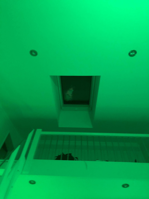 I was feeling watched so I looked up and I wish I never did