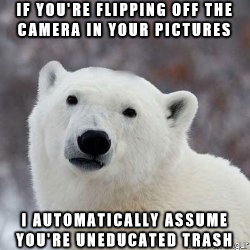 I was going to post this as Confession Bear then realized it would probably be more of a Popular Opinion Polar Bear