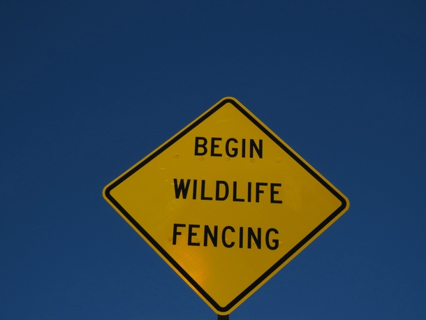 I was hoping to see a bear with a sword