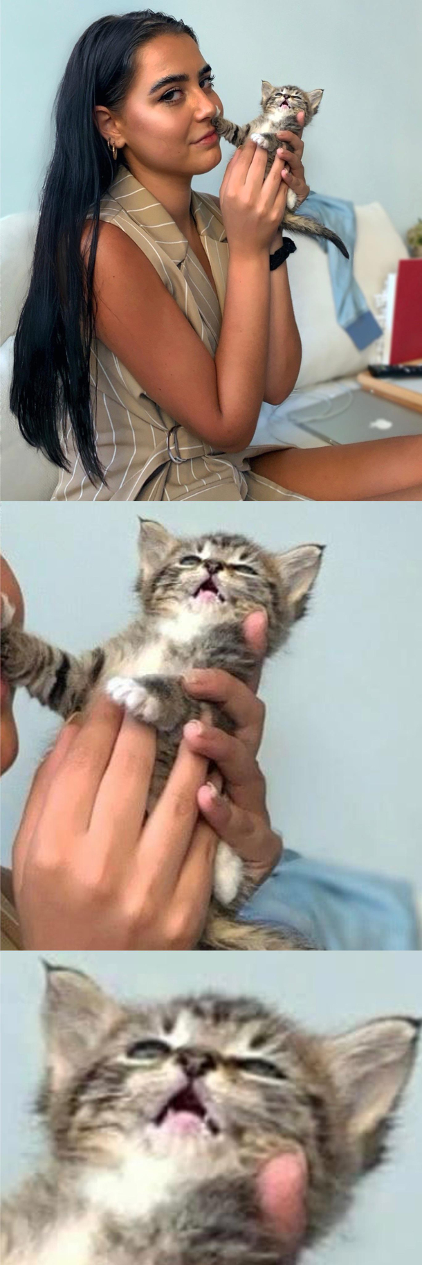 I was hoping to take a nice picture with my foster kitten